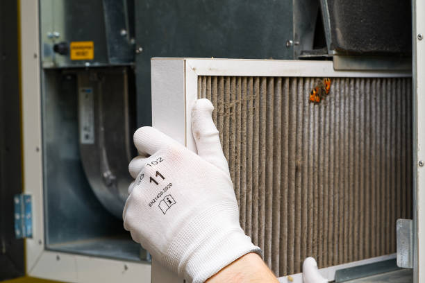 Air Quality Test in Rolling Meadows, IL